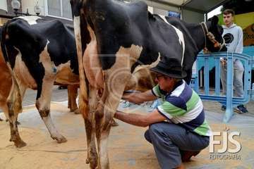 Los Llanos de Telde, en el día grande de sus fiestas patronales de 2019 (Foto Francisco Javier Santana)